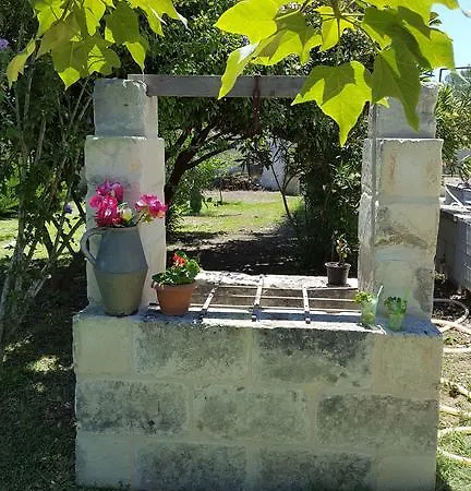 Tommaso Торре дель'Орсо