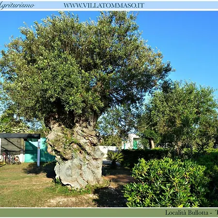 Tommaso Farm stay Torre dell'Orso